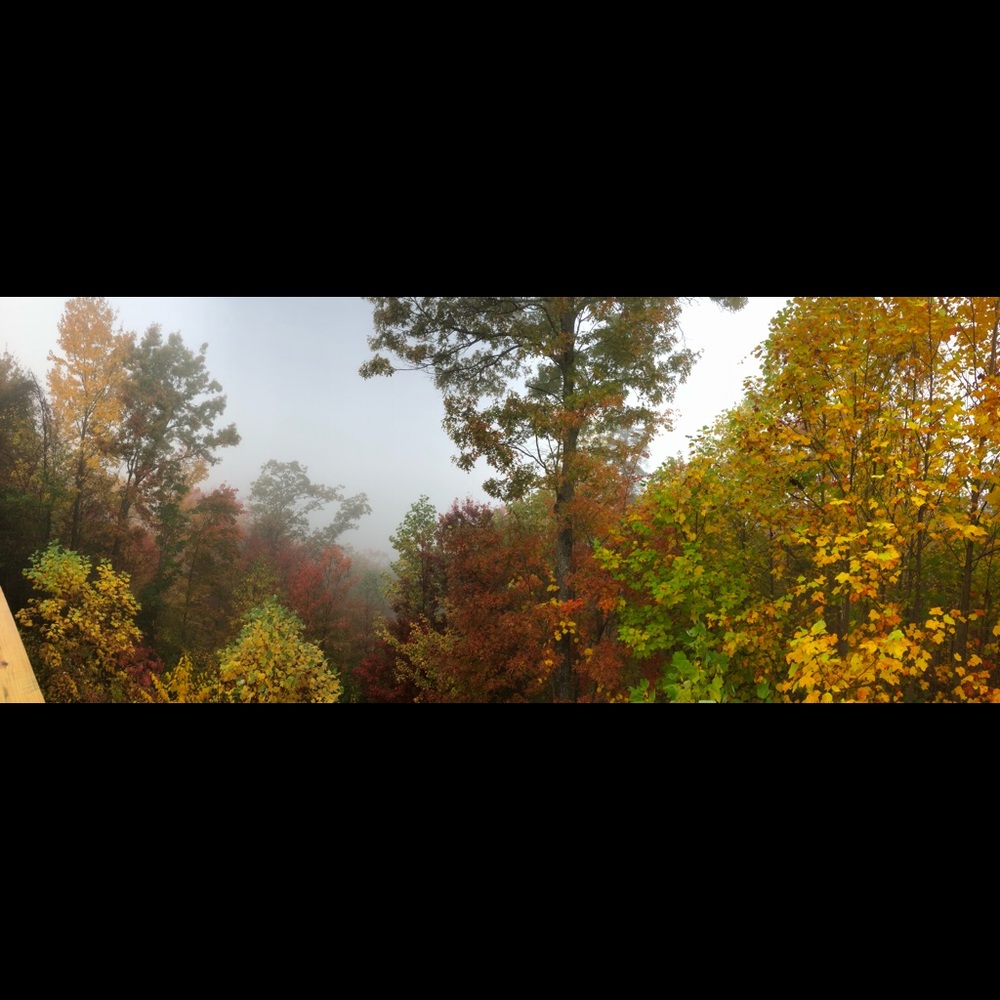 Meet your Posher, Mack